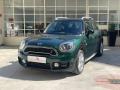 usato MINI Countryman