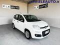 usato FIAT Panda