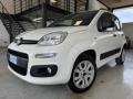 usato FIAT Panda