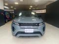 usato LAND ROVER Range Rover Evoque