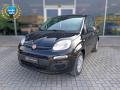 usato FIAT Panda