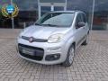usato FIAT Panda