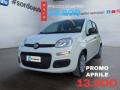 usato FIAT Pandina