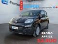 usato FIAT Pandina