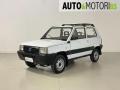 usato FIAT Panda