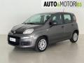 usato FIAT Panda