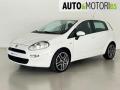 usato FIAT Punto