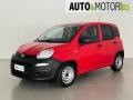 usato FIAT Panda