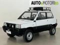 usato FIAT Panda