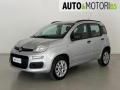 usato FIAT Panda