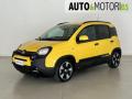 usato FIAT Pandina
