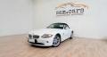 usato BMW Z4