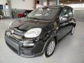usato FIAT Panda