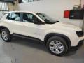 usato JEEP Avenger