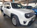 usato JEEP Renegade