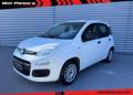 usato FIAT Panda