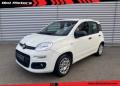 usato FIAT Panda