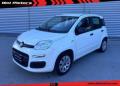 usato FIAT Panda