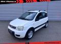 usato FIAT Panda