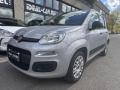 usato FIAT Panda