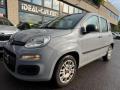 usato FIAT Panda
