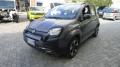 usato FIAT Panda Cross