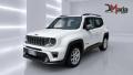 usato JEEP Renegade