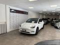 usato TESLA Model Y
