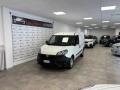 usato FIAT Doblo