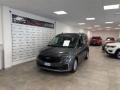 usato FORD Tourneo Connect