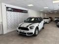 usato MINI Countryman