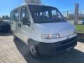 usato FIAT Ducato