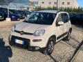 usato FIAT Panda