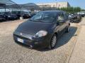 usato FIAT Punto