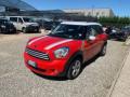 usato MINI Countryman