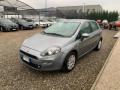 usato FIAT Punto Evo