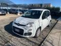 usato FIAT Panda