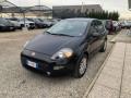 usato FIAT Punto