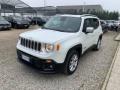 usato JEEP Renegade