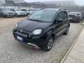usato FIAT Panda Cross