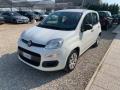 usato FIAT Panda