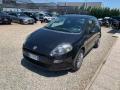 usato FIAT Punto