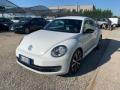 usato VOLKSWAGEN Maggiolino