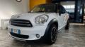 usato MINI Countryman