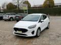 usato FORD Fiesta