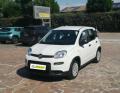 usato FIAT Panda