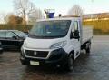 usato FIAT Ducato