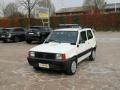 usato FIAT Panda