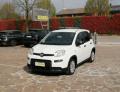 usato FIAT Panda