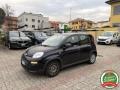 usato FIAT Panda